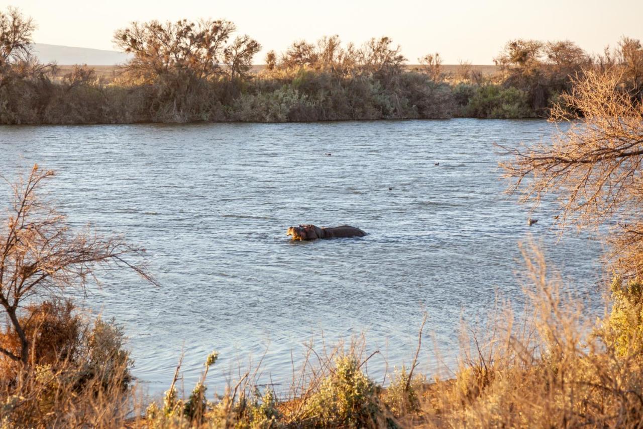 Inverdoorn Game Reserve Lodge Breede River Esterno foto