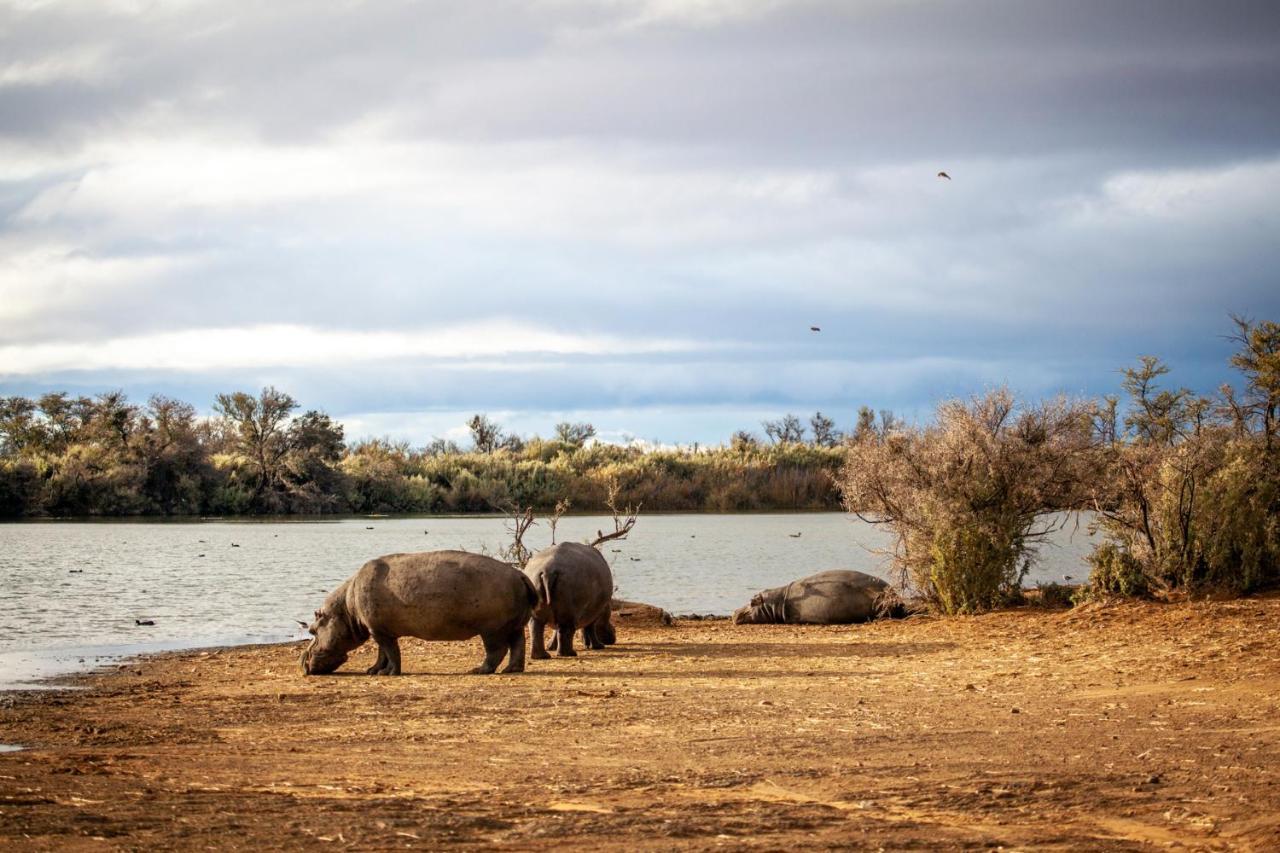 Inverdoorn Game Reserve Lodge Breede River Esterno foto